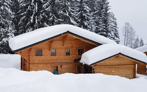 Dörfli: Neige, Bâtiment, Fenêtre, Arbre, Maison, Branche, Bois, Pente, Porte, Mélèze