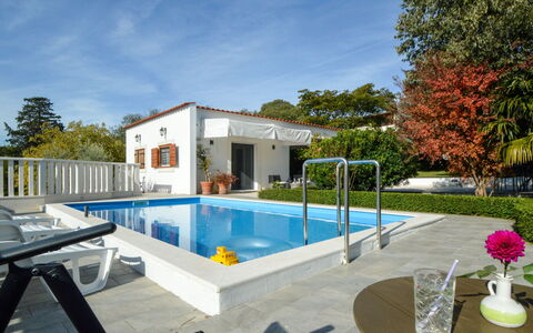 Villa Bloom Garden: Ciel, L'Eau, Nuage, Plante, Propriété, Bâtiment, Piscine, Arbre, Ombre, Mobilier De Jardin