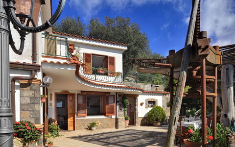 La Villa Dell'olio: Plante, Nuage, Ciel, Propriété, Bâtiment, Fenêtre, Pot De Fleur, Porte, Arbre, Quartier