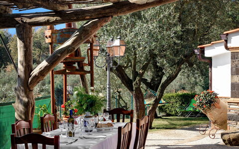 La Villa Dell'olio: Table, Vaisselle, Meubles, Plante, Chaise, Nappe De Table, Bâtiment, Décoration, Arbre, Design Intérieur