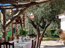 la-villa-dell-olio-massa-lubrense-villa-garden