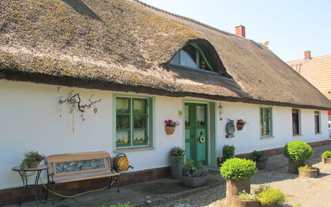 Brigitte: Plante, Ciel, Bâtiment, Propriété, Fenêtre, À Déchaumer, Maison, Extérieur Banc, Porte, Chalet