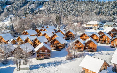 Logement:&nbsp;Les Chalets du Berger 602.1