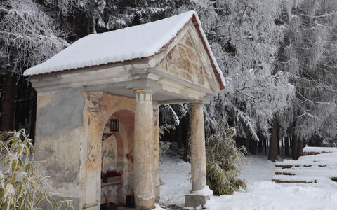 Klippitzrose: Neige, Plante, Branche, Brindille, Bois, Arbre, Biome, Maison, Gelé, Bâtiment