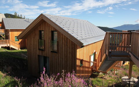 Klippitzrose: Plante, Ciel, Nuage, Propriété, Bâtiment, Bois, Fenêtre, Architecture, Lot Terre, Fleur