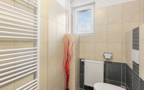 Desná V Jizerských Horách: Bâtiment, Luminaire Plomberie, Design Intérieur, Salle De Bains, Sol, Sol, Mur, Immobilier, Maison
