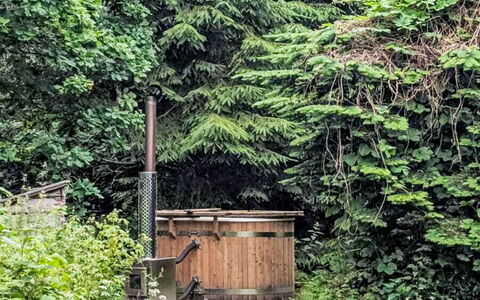 Rowan Cottage: Environnement Naturel, Arbuste, Communauté Des Plantes, Forêt, Jardin, Jungle, Des Bois
