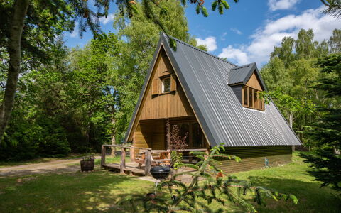 Birchwood Cottage: Plante, Ciel, Bâtiment, Nuage, Fenêtre, Arbre, Paysage Naturel, Bois, Maison, Lot Terre