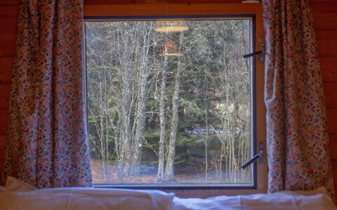Birchwood Cottage: Propriété, Fenêtre, Feuille, Bois, Textile, Design Intérieur, Rideau, Ombre, Confort, Dur