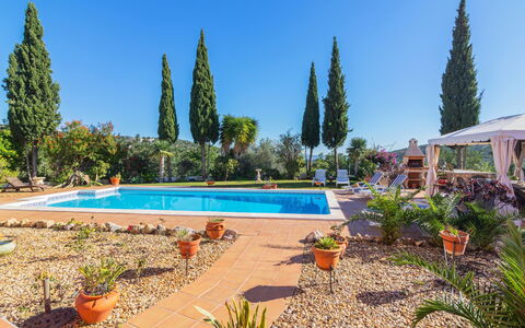 Villa Rosa: L'Eau, Plante, Ciel, Piscine, La Nature, Arbre, Loisir, Ombre, Paysage, Parapluie