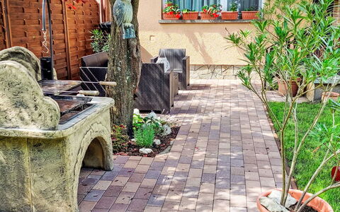Kaiser: Plante, Fenêtre, Bâtiment, Arbre, Pot De Fleur, Maison, Mur, Brique, Herbe, Suppression Des Plantes Ligneuses