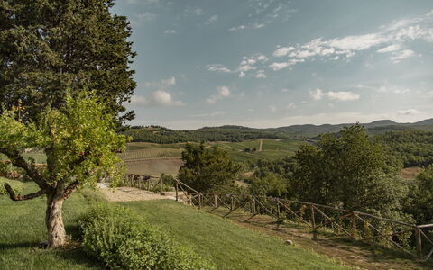 Villa Pianvecchio: Arbre, Lot Terre, Zone Rurale, Prairie, Cumulus, Arbuste, Vallée, Prairie, Champ, Pâturage