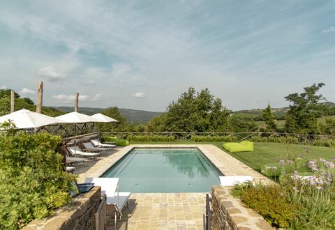 Villa Pianvecchio: Plante, Piscine, Jardin, Composite, Arbuste, Recours, Aménagement Paysager, Cour, Tuile