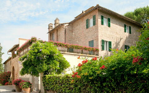 Villa Asciolo: Plante, Arbuste, Propriété, Maison, Bâtiment, Immobilier, Pot De Fleur, Zone Résidentielle, Jardin