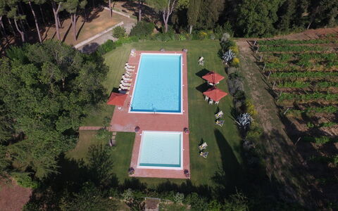 Villa Asciolo: Piscine, Jardin, Composite, Ombre, Pelouse, Cour, Plantation, Arrière-Cour, Aménagement Paysager