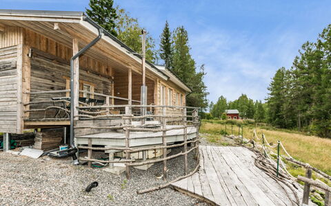 Koivu: Bois, Sol, Sol, Meubles, Parquet, Design Intérieur, Lit Superposé, Pièce, Tache De Bois, Dur