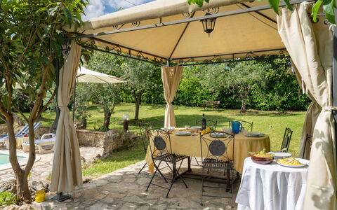 Sissi: Plante, Meubles, Table, Chaise, Botanique, Ombre, Tableau De Plein Air, Mobilier De Jardin, Arbre, Nappe De Table