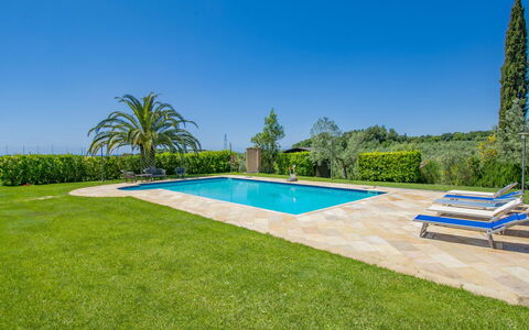 Villa Rosa: Ciel, L'Eau, Plante, Piscine, Bleu Azur, Arbre, Ombre, Lot Terre, Rectangle, Loisir
