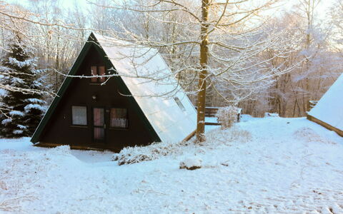 Waldglück: Ciel, Propriété, Neige, Bâtiment, Arbre, Fenêtre, Bois, Maison, Brindille, Plante