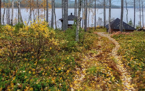 Lomaväinö 13: Bois, Chalet, Cabane En Rondins, Forêt, Cabanon, Batiments Jardin, Mélèze, Des Bois, Tache De Bois