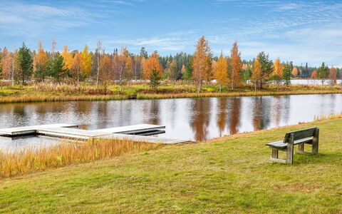 Sallanhelmi C2: Bois, Chalet, Cabane En Rondins, Forêt, Cabanon, Batiments Jardin, Mélèze, Des Bois, Tache De Bois