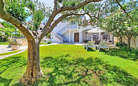 Tone: Jardin, Pelouse, Ombre, Biens, Aménagement Paysager, Cour, Hacienda, Manoir, Conception, Villa