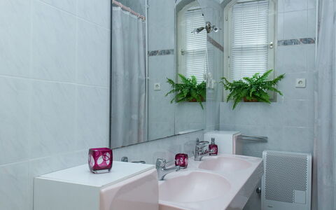 Thuja: Robinet, Luminaire Plomberie, Propriété, Évier, Plante, Bâtiment, Lavabo, Fenêtre, Architecture