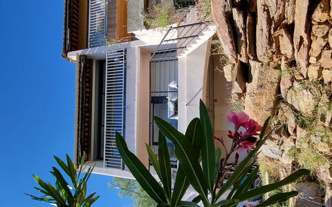 Les Terrasses de L'Eau Blanche: Plante, Propriété, Fleur, Bleu, Bleu Azur, Feuille, Pot De Fleur, Bâtiment, Botanique, Ciel