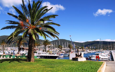 Cavalaire 700: Nuage, Ciel, Plante, Arecales, Ombre, Arbre, Cotiers Et Relief Océaniques, Loisir, Terrestre Des Plantes, Bateau