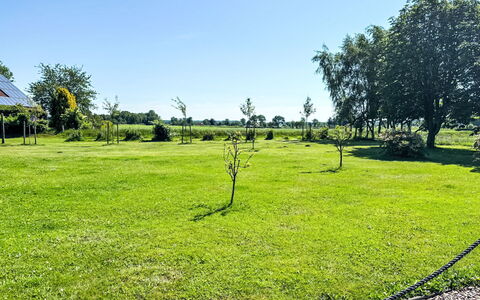 Esens 165: Ciel, Herbe, Vert, Arbre, Environnement Naturel, Prairie, Plaine, Lot Terre, Pelouse, Pâturage