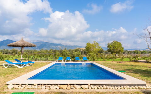 Son Bordoi: Ciel, L'Eau, Plante, Nuage, Propriété, Piscine, Bleu Azur, Arbre, Rectangle, Lot Terre