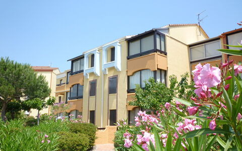 Saint Cyprien 250: Fleur, Ciel, Plante, Bâtiment, Fenêtre, Communauté Des Plantes, Végétation, Arbre, Maison, Herbe