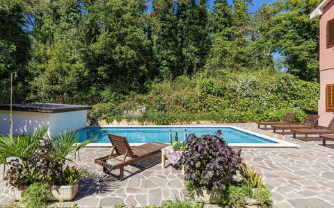 Vinka: Plante, L'Eau, Piscine, Bleu Azur, Botanique, Ombre, Mobilier De Jardin, Végétation, Arbre, Arbuste