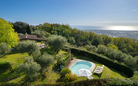 Villa Elisa: Paysage Naturel, Paysage, Piscine, Jardin, Biens, Aménagement Paysager, Eco Hôtel, Plantation, Villa, Ferme