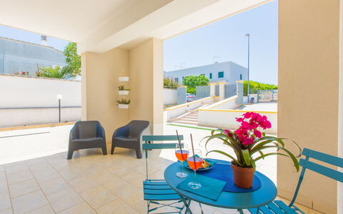 Case Pantanagianni: Fleur, Plante, Meubles, Propriété, Bâtiment, Pot De Fleur, Plante D'Appartement, Table, Chaise, Bleu