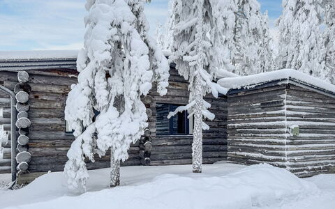 Rukalehto: Neige, L'Hiver, Bois, Branche, Gelé, Chalet, Cabane En Rondins, Pente, Brindille, Mélèze