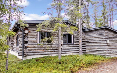 Rukalehto: Arbre, Bois, Chalet, Paysage, Toit, Cabane En Rondins, Forêt, Mélèze, Des Bois