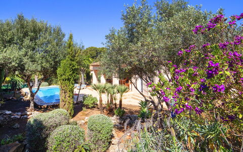 Flamenco: Plante, Ciel, Fleur, Paysage Naturel, Arbre, Arbuste, Maison, Paysage, Couverture De Sol, Herbe