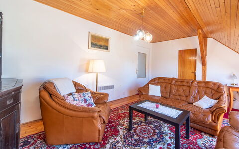 Sudoměřice: Plafond, Pièce, Meubles, Domicile, Salon, Dur, Canapé, Tache De Bois, Parquet