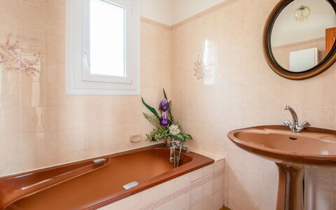 L'Albizia: Miroir, Marron, Plante, Propriété, Robinet, Évier, Luminaire Plomberie, Lavabo, Fenêtre, Armoire De Toilette