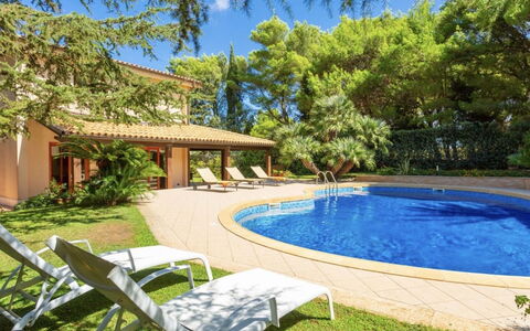 Vittoria: L'Eau, Plante, Propriété, Ciel, Piscine, Botanique, Bleu Azur, Bâtiment, Arbre, Ombre
