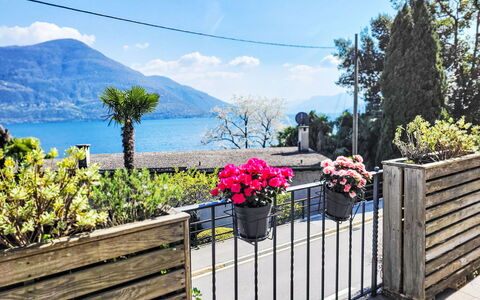Brissago 724: Pot De Fleur, Clôture, Balcon, Plante D'Appartement, Ombre, Accueil Escrime, Porche, Floristique, Eco Hôtel