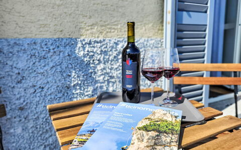Brissago 724: Loisir, Mobilier De Jardin, Vacances, Du Vin