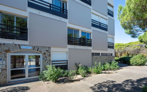 Saint Cyprien 580: Plante, Bâtiment, Jour, Fenêtre, Ciel, Design Intérieur, Design Urbain, Arbre, Quartier
