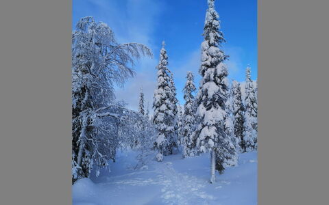 Luppokero: Bois, Maison, Neige, Chalet, Domicile, L'Hiver, Toit, Gelé, Siding, Pente