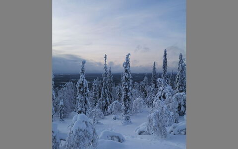 Luppokero: Bois, Maison, Neige, Chalet, Domicile, L'Hiver, Toit, Gelé, Siding, Pente