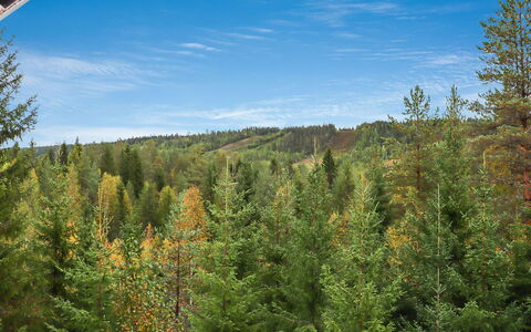 Lampitaival 5: Bois, Chalet, Cabane En Rondins, Forêt, Cabanon, Batiments Jardin, Mélèze, Des Bois, Tache De Bois