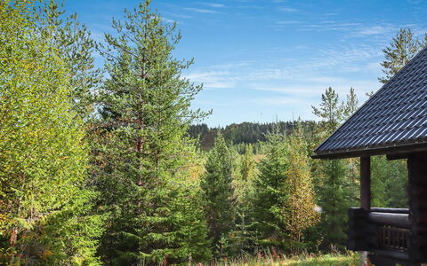 Lampitaival 5: Bois, Chalet, Cabane En Rondins, Forêt, Cabanon, Batiments Jardin, Mélèze, Des Bois, Tache De Bois