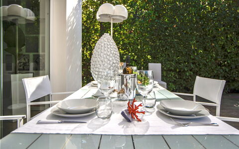 Re di Denari: Vaisselle, Table, Plante, Meubles, Propriété, Drinkware, Vaisselle, Nappe De Table, Chaise, Verres À Pied