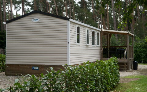 De Brenkberg: Plante, Fenêtre, Arbre, Lot Terre, Bois, Chalet, Herbe, Zone Rurale, Paysage, Couverture De Sol